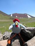 V létě jsem se strejdou Pajou a Johnym bylo v Arménii. V údolí medvědů jsme žádného nepotkali (asi se mě báli)