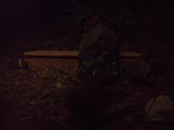 Kiwi ve tmě 1.