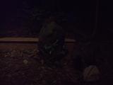 Kiwi ve tmě 2