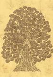 Obraz "Strom života", formát A4 (210x297 mm), propiska, mramorovaný papír.  r.2007