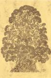 Obraz \"Strom neopadávající moudrosti\" formát A4 (210x297 mm), mramorovaný papír, propiska; červen 2009.